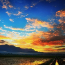 My Village by Robin Karim
